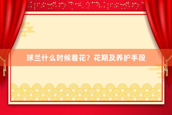 球兰什么时候着花？花期及养护手段