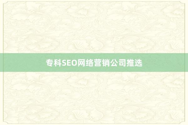 专科SEO网络营销公司推选